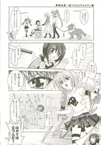 (C73) [PLUM (Kanna)] Mahou Shoujo Magical SEED Soushuuhen X (Mahou Shoujo Lyrical Nanoha)