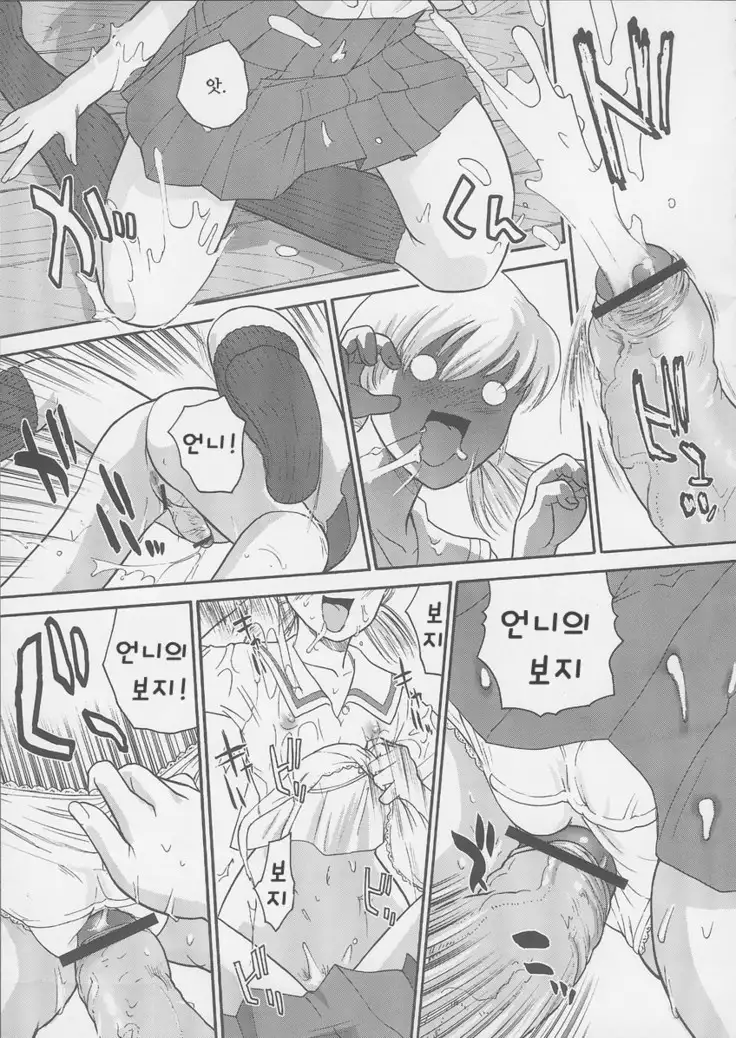 ダルシーレポート 6