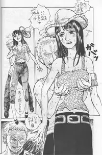 (C65) [Okirakudou (Various)] Kaizoku Shukujo (One Piece)