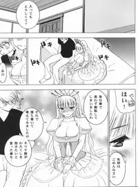 [Donzoko Kashiwa Meshi (Mask the J)] HIMESAMA TO (Shining Force)