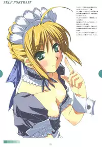 (SC33) [MONTAGE (Takato Suzunosuke)] SELF PORTRAIT (Fate/hollow ataraxia)