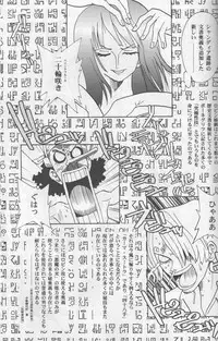 (C65) [Okirakudou (Various)] Kaizoku Shukujo (One Piece)