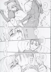 (SC24) [Badon (Kida, Kine)] Inheritor (Fate/stay night)