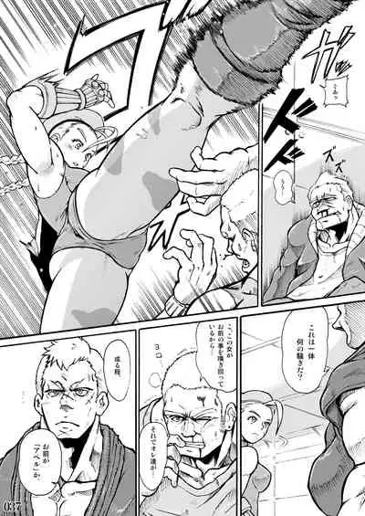 [POWERPLAY (Various)] Street IV no Ero Hon (Street Fighter) [Digital]