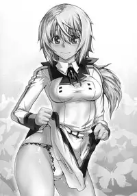 [Kouchaya (Ootsuka Kotora)] LOVE SLAVE (IS <Infinite Stratos>) [Digital]