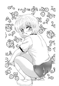 [Miyamoto Rumi] Koakuma no Jouken