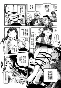 [THE SEIJI] OL Seitai Zukan - Female Office Worker Ecology Picture Book [Chinese]