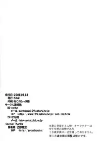 (Lyrical Magical 4) [SAZ (soba, Soukurou)] gin yuu iroiro (Mahou Shoujou Lyrical Nanoha StrikerS)