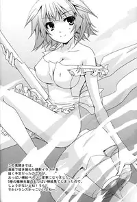 (C78) [CHAGASHI SAIBAN (Yamabuki Mook)] Koneko de Issho (IS <Infinite Stratos>) [English] [kibitou4life]