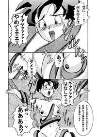 [Light Rate Port Pink] Tanjou!! Aku no Onna Senshi - Videl Sennou Kaizou Keikaku (Dragon Ball Z)