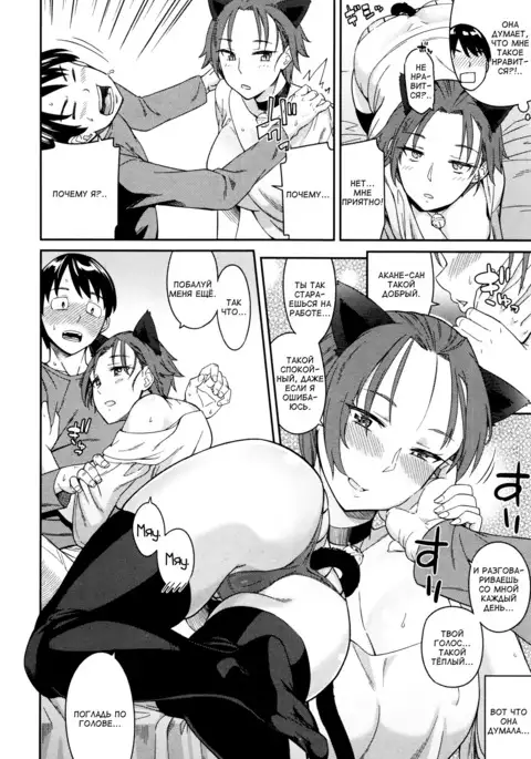 Cat Impact | Кошачье влияние