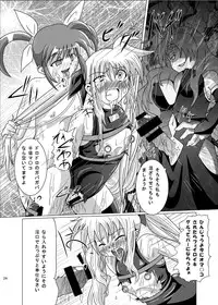[Kurodama-ya] Kurenai no Sho ~Fate Hen~ (Mahou Shoujo Lyrical Nanoha / Magical Girl Lyrical Nanoha)