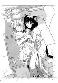 (C56) [.30-06 (Tsutsumi Akari)] CAZA MAYOR ~'99 estio~