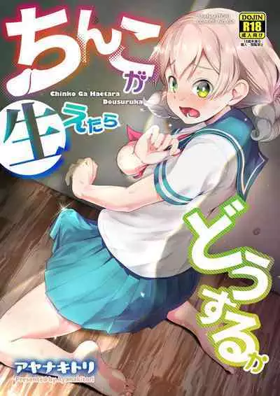 Chinko ga Haetara Dou Suru ka