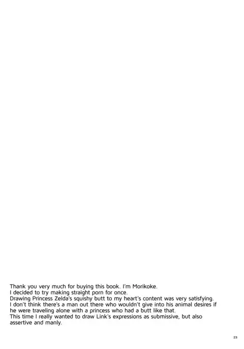 Hyrule Hanei no Tame no Katsudou! | Taking Steps to Ensure Hyrule's Prosperity!