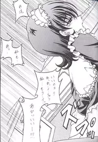 [Rabbit Company (Kotogi Raura)] Stale World 16 Bloody Cross (Sakura Taisen)