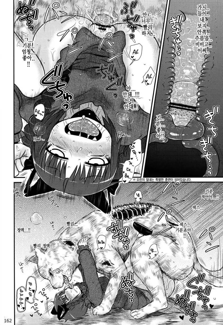 Kaenbyou Ikari no Hatsujouki