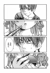 [Fujikawa Satoshi] Otome ni Hakudaku Decoration