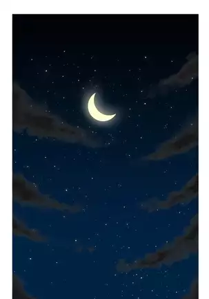 Chauffeur Service Ch.1-30.5