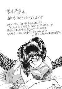 (C36) [LUNA INDUSTRIA (Horikawa Gorou)] Injokurei -Fujin Keikan Menyou Hon "Han-Kan-Rin" Bessatsu-