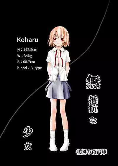 [Kitaguni no Yogisya] Muteikou na Shoujo [Chinese]