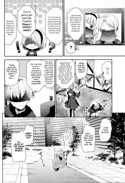 YoRHa 2B-gata Shoushizai Kitai no Toriatsukaidoki ni Okeru Chuui Jikou Tsuutasu