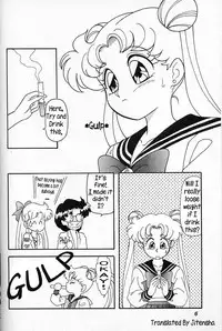 [Chandora & LUNCH BOX (Makunouchi Isami)] USAGI -Lunch Box 6- (Bishoujo Senshi Sailor Moon) [English]