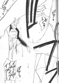 (C64) [Sangatsu no Lion (Don Shigeru)] SEED ON (Mobile Suit Gundam SEED)