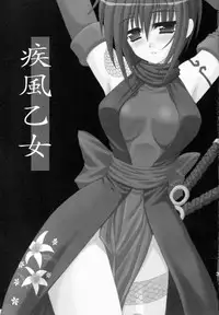 (C67) [PINK VISION (Tsuzuki Masaki)] Shippuu Otome (Various)