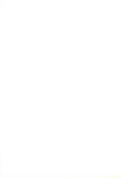 (C77) [Touge Mine (Fujiko)] Jinsei Barairo (Battle Spirits)