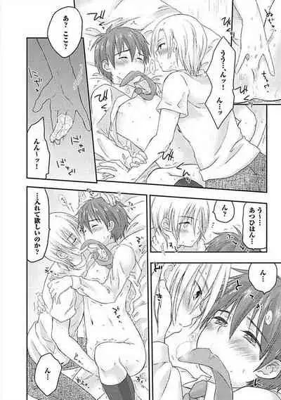 [ARINO Yoshiyuki] S, Taikenban