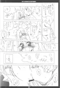 (C68) [THIRD BRAND (Katsumata Kazuki)] Illya Route Kouryaku! Kanzen Kanketsuban (Fate stay night)