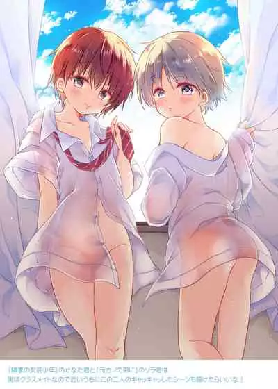 Totsugeki! Rinka no Josou Shounen 5.5 Otomari Pajama Hen