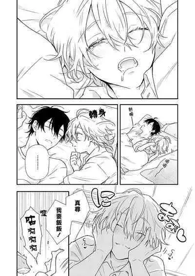 Shiokaze Mellow | 海风轻柔