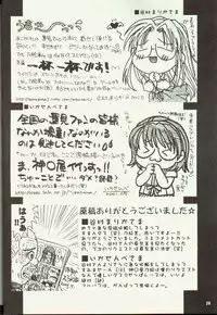 (CR29) [J.P.S. of Black Beauty (Hasumi Elan)] The Basement Tapes Vol.1 (first edition) (Various)