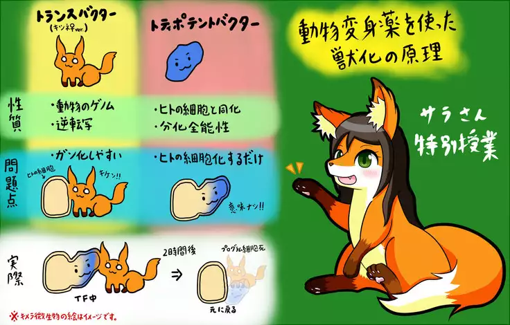 Kemo tan 1＠J-Chimera