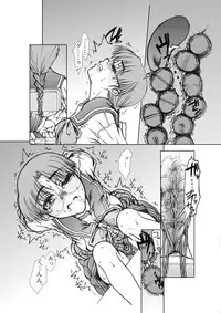 (C80) [Fresnel Lens (Hirano Kana)] Tomoko gakkou hen (To Heart)