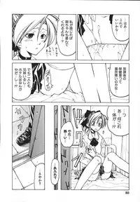 [Benjamin] Stray Sheep