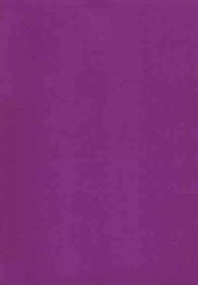 Mou Koi nante Shinai!