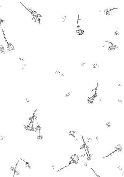 Noazami no Koi - The love of field thistle.