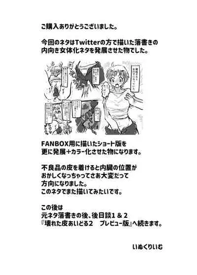 [InuCream (InuCreamice)] Kowareta Kawa Idol