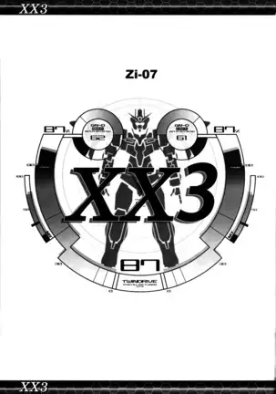 XX3
