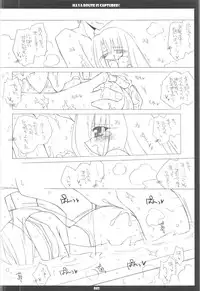 (C68) [THIRD BRAND (Katsumata Kazuki)] Illya Route Kouryaku! Kanzen Kanketsuban (Fate stay night)