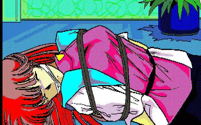 Aniparo Menyou CG Data Shuu Disk Noah v2v3