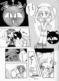 Moonlight (Bishoujo Senshi Sailor Moon)