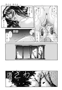 [Amayumi] Sakura Sakura