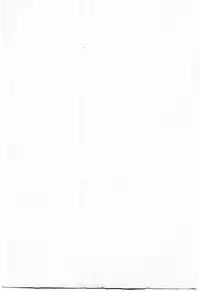 [BAKEDANUKI] HONEY PIE