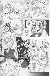 (C66) [Douganebuibui (Aburidashi Zakuro)] Mugen Jikan no Koi (Touhou Project)