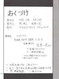 (CR29) [Thirty Saver Street 2D Shooting (Various)] Silent Saturn SS Vol. 1 (Bishoujo Senshi Sailor Moon)