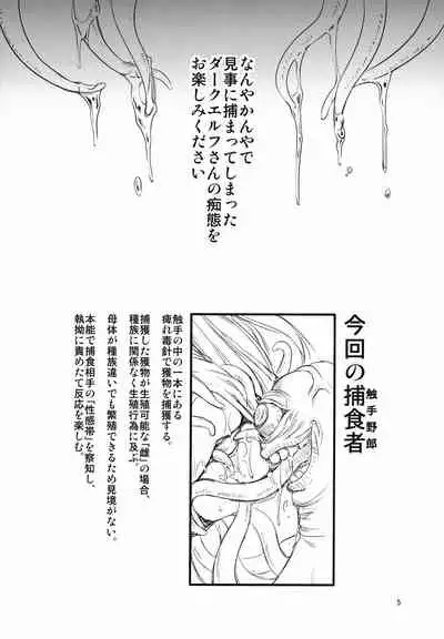 某ダークエルフの腋を触手がそこはかとなく狙ってるそんな趣味丸出しの本